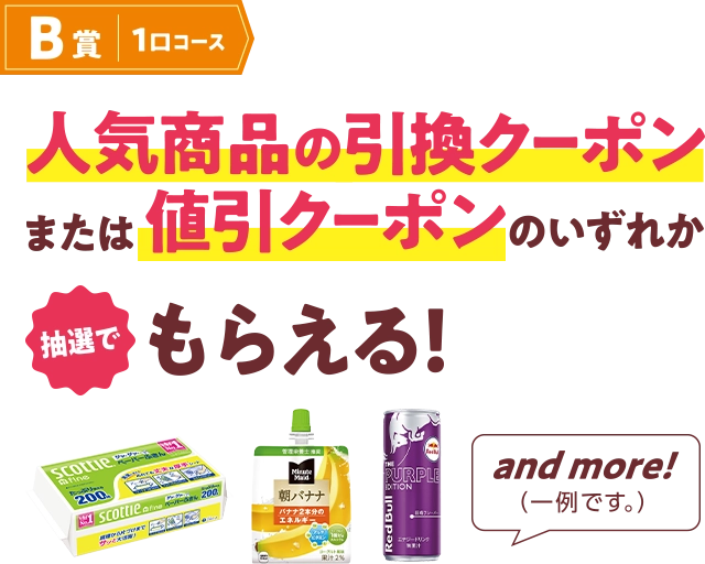 B賞1口コース 人気商品の引換クーポンまたは値引クーポンのいずれか 抽選でもらえる！