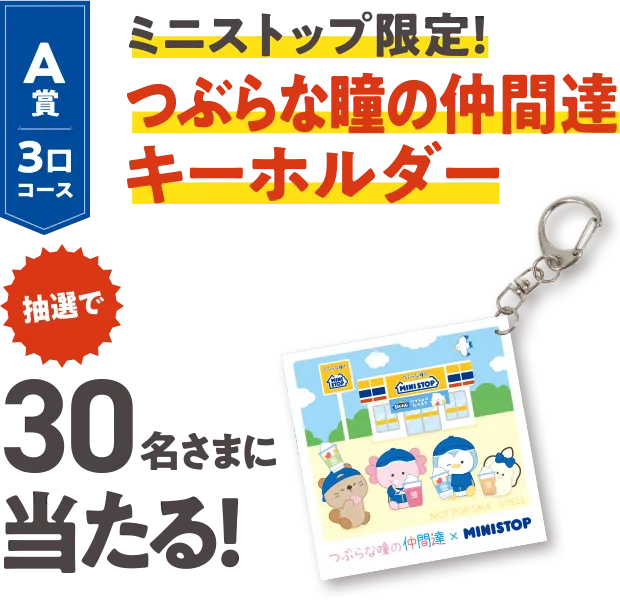 A賞3口コース ミニストップ限定！つぶらな瞳の仲間達キーホルダー 抽選で30名さまに当たる！