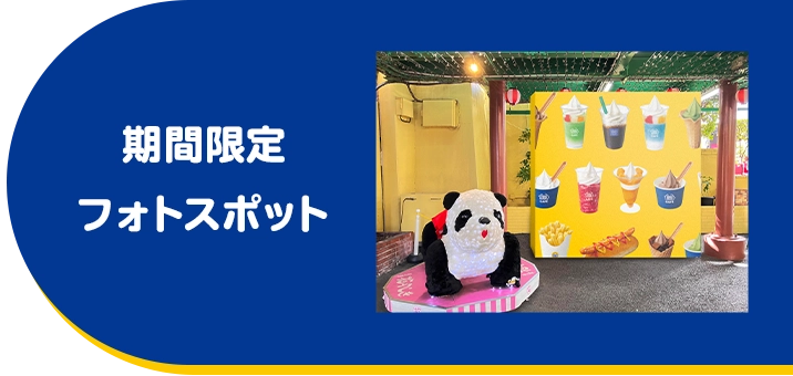 期間限定フォトスポット