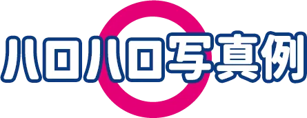 ハロハロ写真例