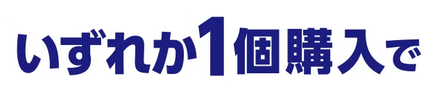 いずれか1個購入で