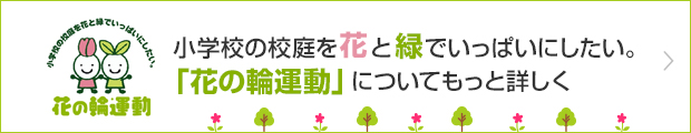 小学校の校庭を花と緑でいっぱいにしたい。「花の輪運動」についてもっと詳しく