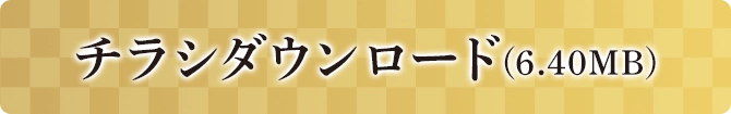 チラシダウンロード(6.4MB)