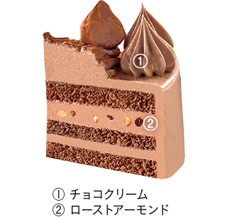 クリスマス 糖質を抑えたチョコケーキ 4号の詳細