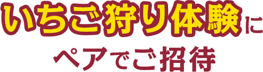 いちご狩りにペアでご招待
