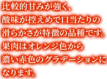比較的甘みが強く、酸味が控えめで口当たりの滑らかさが特徴の品種です。果肉はオレンジ色から濃い赤色のグラデーションになります。