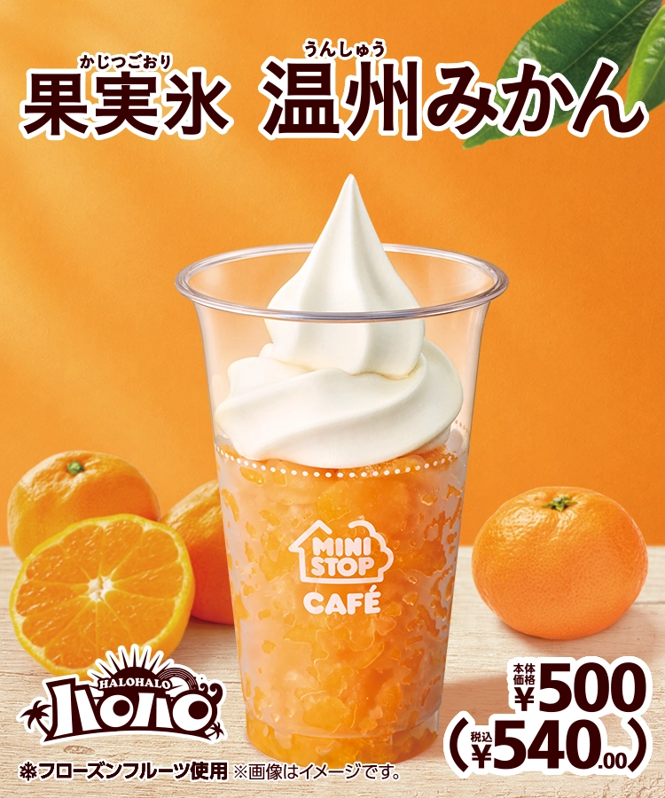 果実氷温州みかん 本体価格500円 税込540.00円