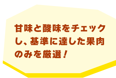 甘味と酸味をチェックし、基準に達した果肉のみを厳選！