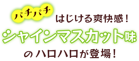 パチパチはじける爽快感！シャインマスカット味のハロハロが登場！