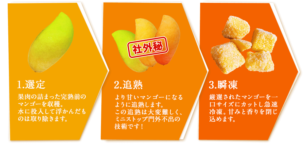 1.選定 果肉の詰まった完熟前のマンゴーを収穫。水に投入して浮かんだものは取り除きます。 2.追熟 より甘いマンゴーになるように追熟します。この追熟は大変難しく、ミニストップ門外不出の技術です！ 3.瞬凍 厳選されたマンゴーを一口サイズにカットし急速冷凍。甘みと香りを閉じ込めます。