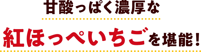 甘酸っぱく濃厚な紅ほっぺいちごを堪能！