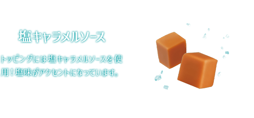 塩キャラメルソース トッピングには塩キャラメルソースを使用！塩味がアクセントになっています。