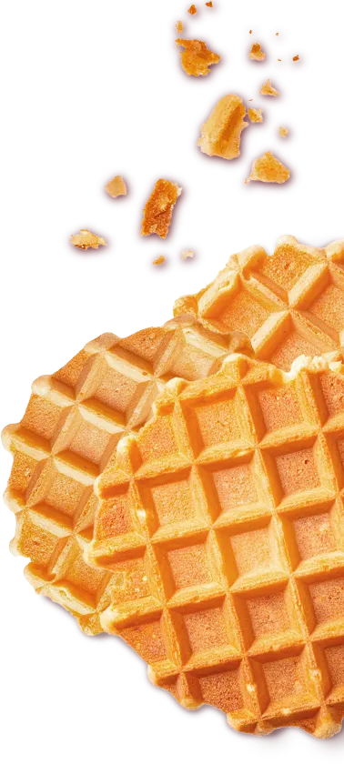ワッフルチップの画像