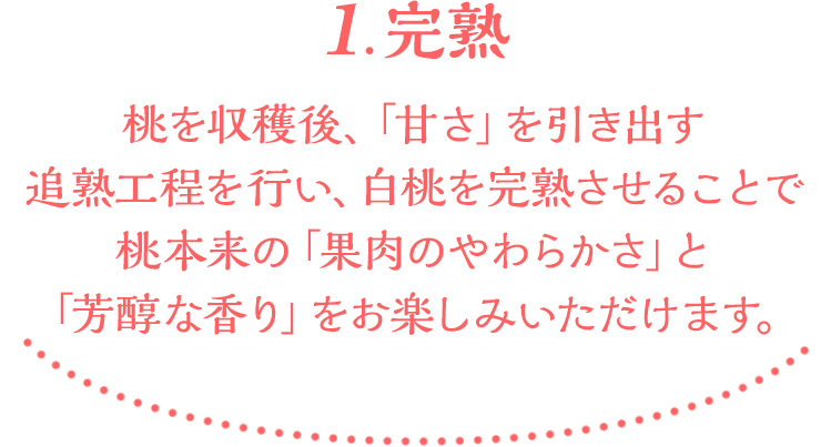 1.完熟　桃を収穫後、「甘さ」を引き出す追熟工程を行い、白桃を完熟させることで桃本来の「果肉のやわらかさ」と「芳醇な香り」をお楽しみいただけます。