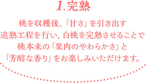 1.完熟　桃を収穫後、「甘さ」を引き出す追熟工程を行い、白桃を完熟させることで桃本来の「果肉のやわらかさ」と「芳醇な香り」をお楽しみいただけます。