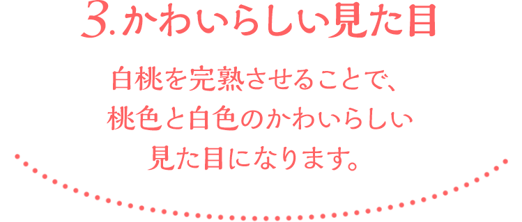 3.かわいらしい見た目　白桃を完熟させることで、桃色と白色のかわいらしい見た目になります。