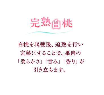 完熟白桃 白桃を収穫後、追熟を行い完熟にすることで、果肉の「柔らかさ」「甘み」「香り」が引き立ちます。