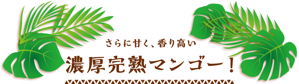さらに甘く、香り高い　濃厚完熟マンゴー