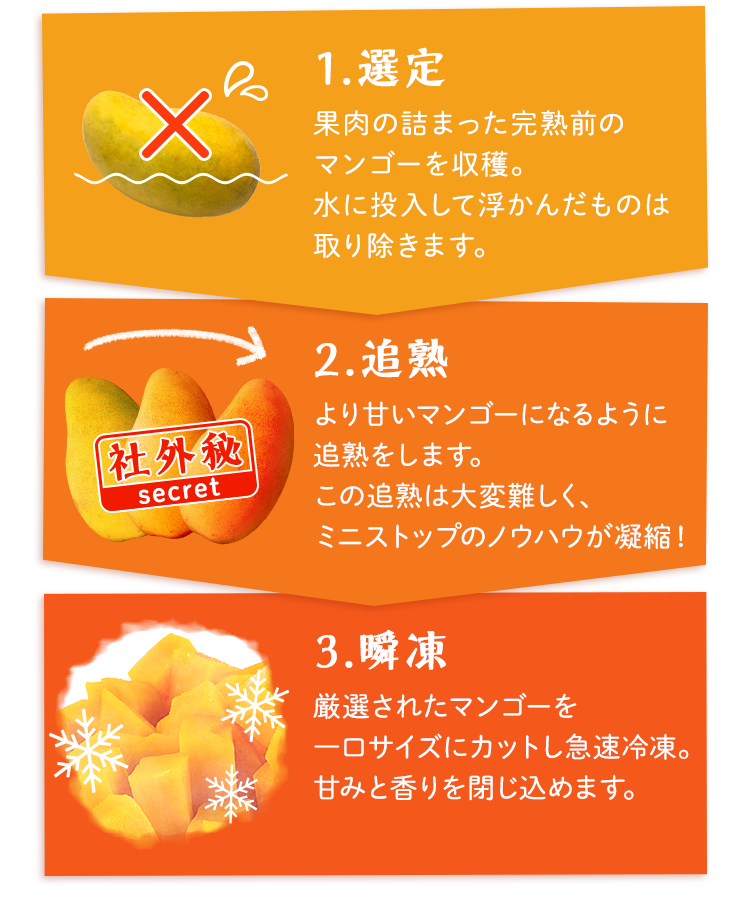 1.選定　果肉の詰まった完熟前のマンゴーを収穫。水に投入して浮かんだものは取り除きます。　2.追熟　より甘いマンゴーになるように追熟をします。この追熟は大変難しく、ミニストップのノウハウが凝縮！　3.瞬凍　厳選されたマンゴーを一口サイズにカットし急速冷凍。甘みと香りを閉じ込めます。