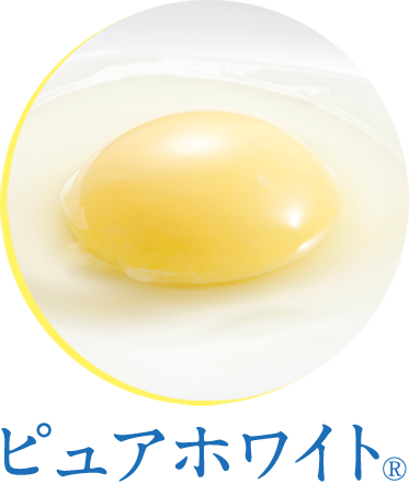ピュアホワイト