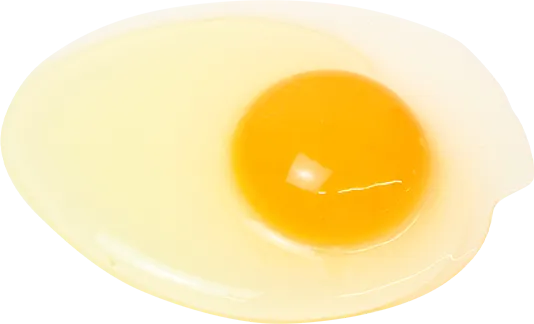 エグロワイヤル®の画像
