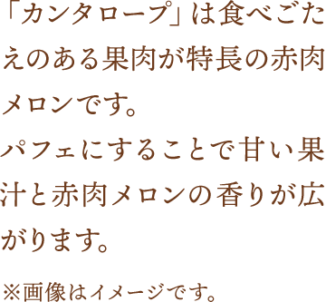 「カンタロープ」は食べごたえのある果肉が特長の赤肉メロンです。パフェにすることで甘い果汁と赤肉メロンの香りが広がります。※画像はイメージです。