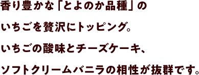 香り豊かな「とよのか品種」のいちごを贅沢にトッピング。いちごの酸味とチーズケーキ、ソフトクリームバニラの相性が抜群です。