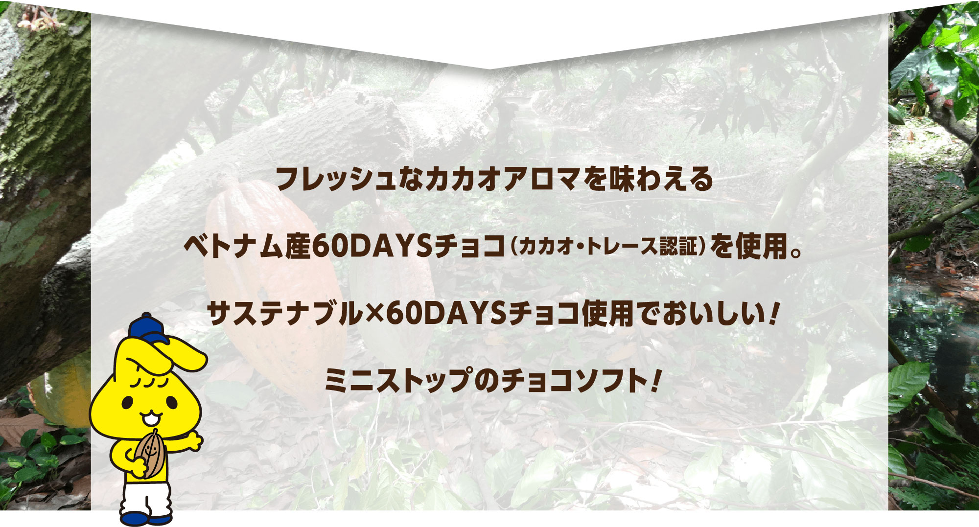 フレッシュなカカオアロマを味わえるベトナム産60DAYSチョコ（カカオ・トレース認証）を使用。サステナブル×60DAYSチョコ使用でおいしい！ミニストップのチョコソフト！