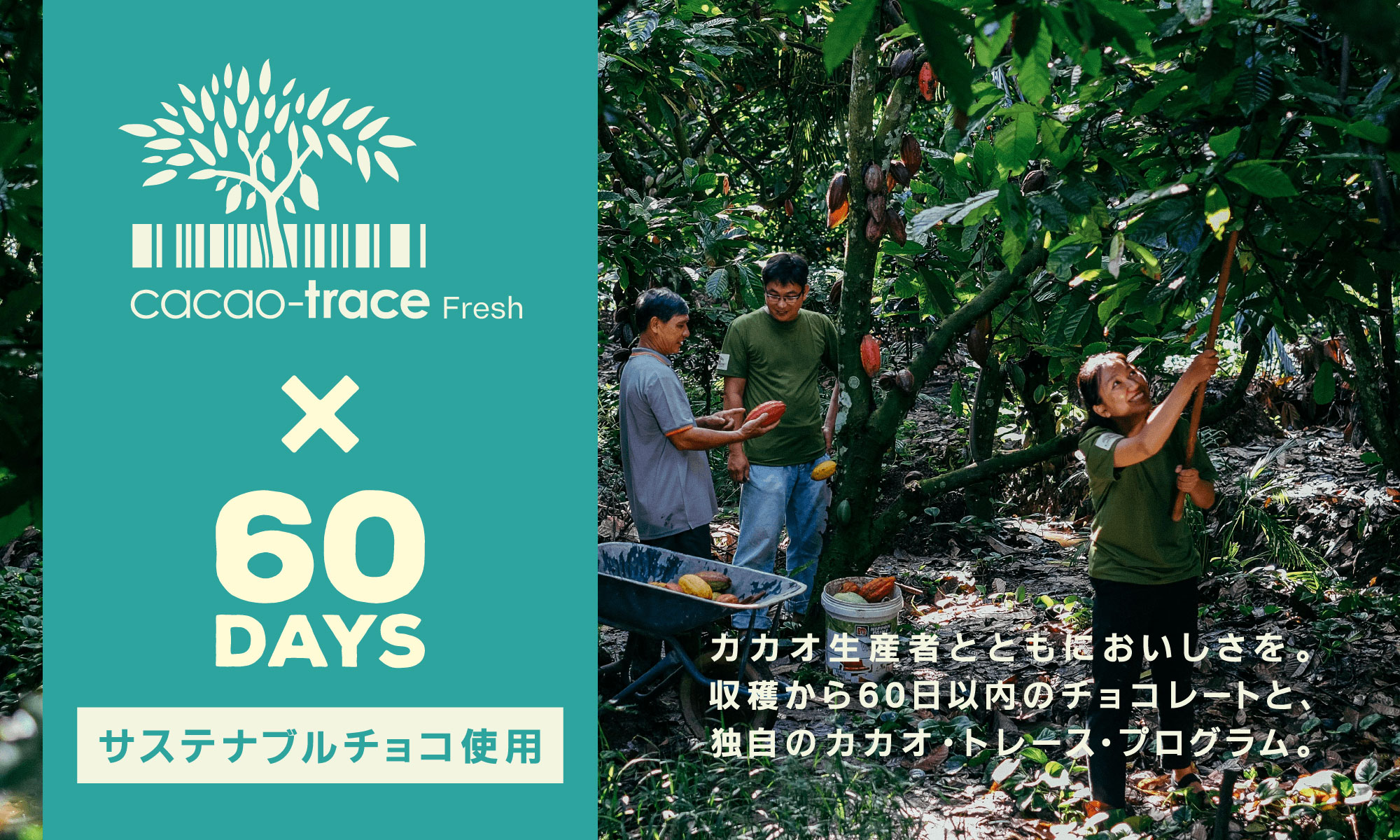 cacao-trace Fresh × 60DAYS サステナブルチョコ使用 カカオ生産者とともにおいしさを。収穫から60日以内のチョコレートと、独自のカカオ・トレース・プログラム。