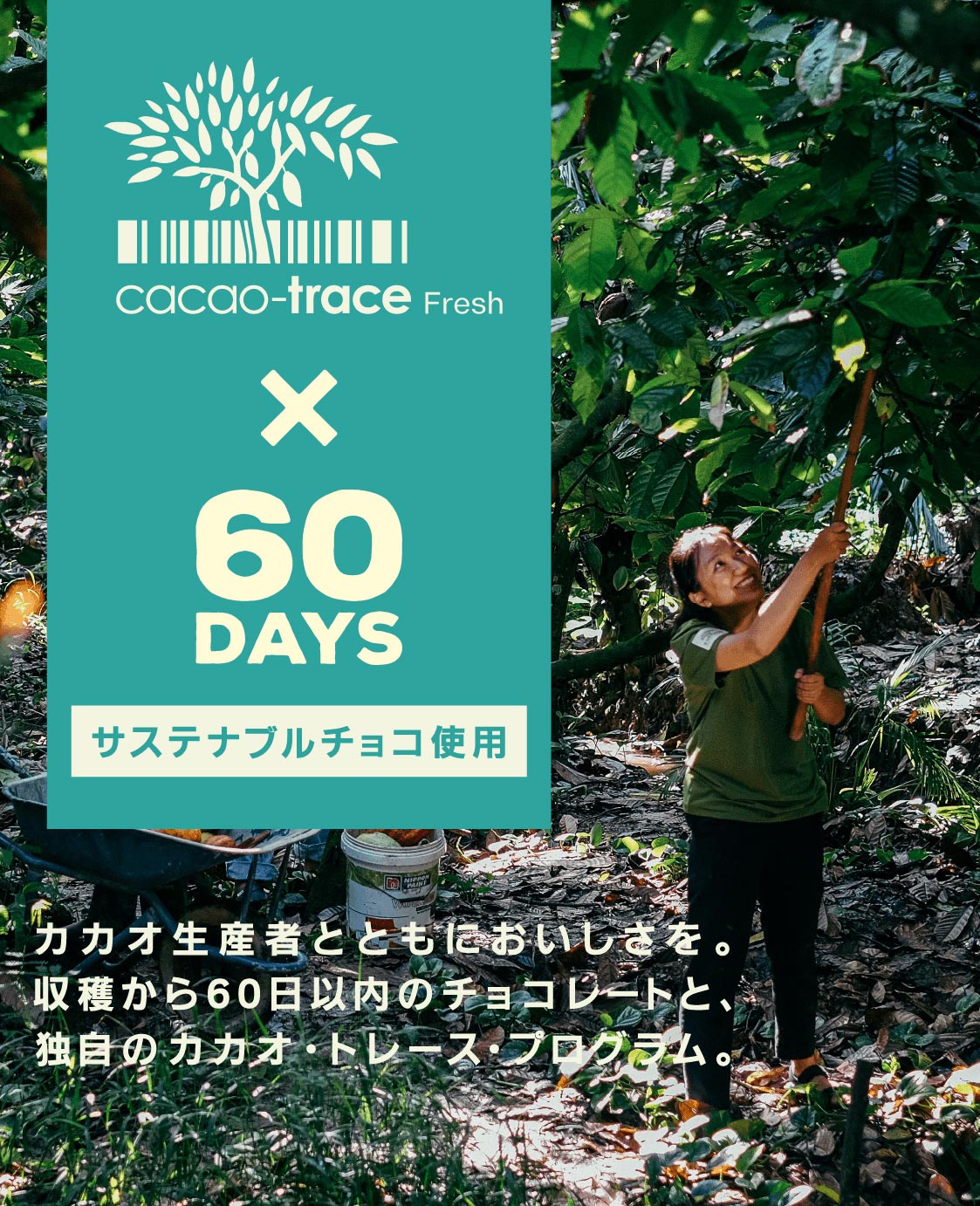 cacao-trace Fresh × 60DAYS サステナブルチョコ使用 カカオ生産者とともにおいしさを。収穫から60日以内のチョコレートと、独自のカカオ・トレース・プログラム。