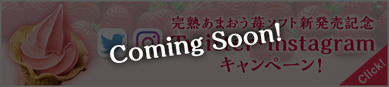 完熟あまおう苺ソフト新発売記念　Twitter・Instagramキャンペーン！