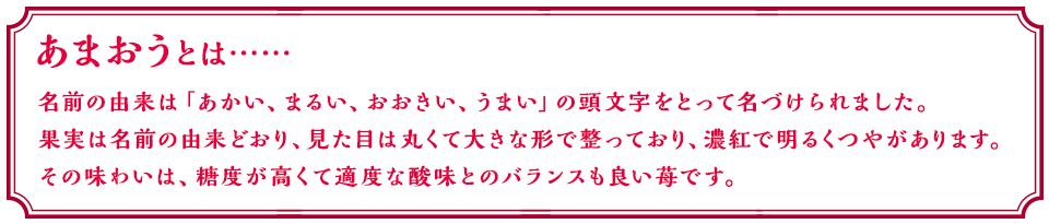 あまおう®とは……　名前の由来は「あかい、まるい、おおきい、うまい」の頭文字をとって名づけられました。果実は名前の由来どおり、見た目は丸くて大きな形で整っており、濃紅で明るくつやがあります。その味わいは、糖度が高くて適度な酸味とのバランスも良い苺です。