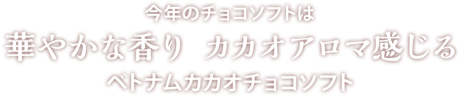 今年のチョコソフトは華やかな香り カカオアロマ感じるベトナムカカオチョコソフト