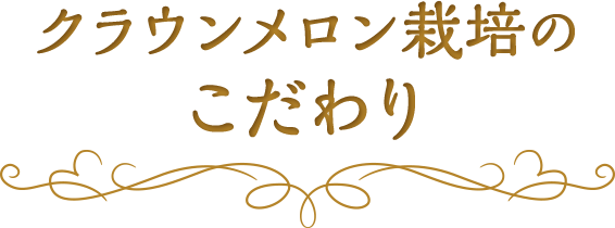 クラウンメロン栽培のこだわり