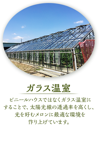 ガラス温室　ビニールハウスではなくガラス温室にすることで、太陽光線の透過率を高くし、光を好むメロンに最適な環境を作り上げています。