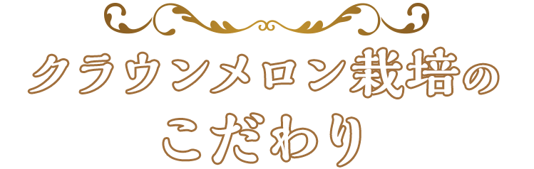 クラウンメロン栽培のこだわり