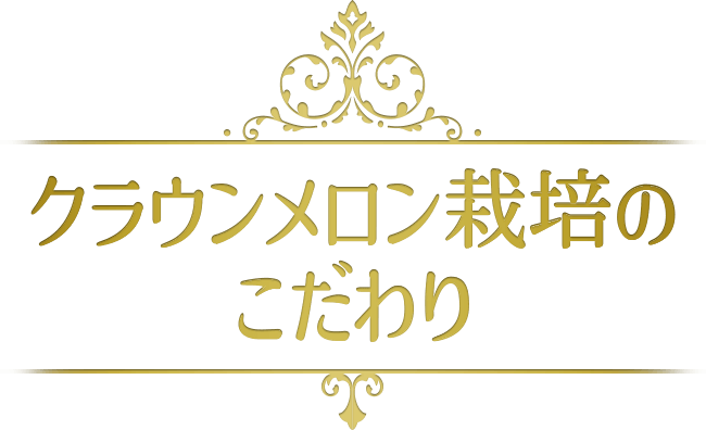 クラウンソフト栽培のこだわり