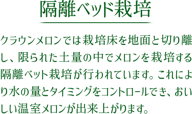 隔離ベッド栽培 クラウンメロンでは栽培床を地面と切り離し、限られた土量の中でメロンを栽培する隔離ベット栽培が行われています。これにより水の量とタイミングをコントロールでき、おいしい温室メロンが出来上がります。