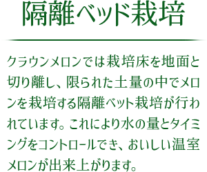 隔離ベッド栽培 クラウンメロンでは栽培床を地面と切り離し、限られた土量の中でメロンを栽培する隔離ベット栽培が行われています。これにより水の量とタイミングをコントロールでき、おいしい温室メロンが出来上がります。