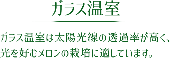 ガラス温室 ガラス温室は太陽光線の透過率が高く、光を好むメロンの栽培に適しています。