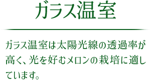 ガラス温室 ガラス温室は太陽光線の透過率が高く、光を好むメロンの栽培に適しています。