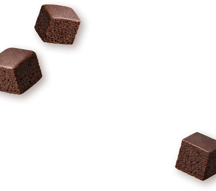 ガトーショコラの画像