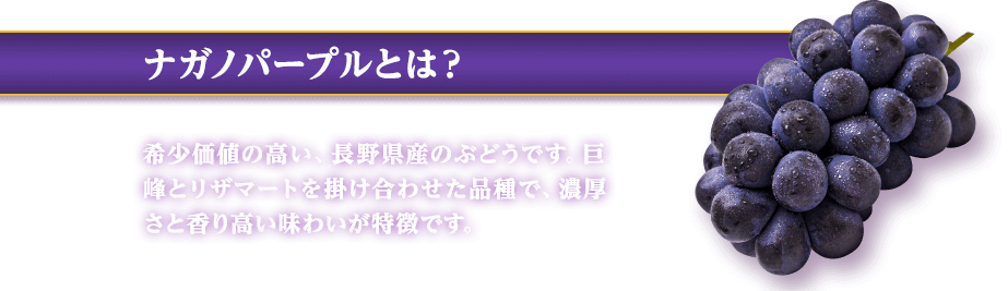 ナガノパープルとは？ 希少価値の高い、長野県産のぶどうです。巨峰とリザマートを掛け合わせた品種で、濃厚さと香り高い味わいが特徴です。