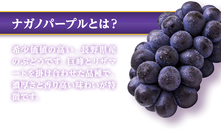 ナガノパープルとは？ 希少価値の高い、長野県産のぶどうです。巨峰とリザマートを掛け合わせた品種で、濃厚さと香り高い味わいが特徴です。