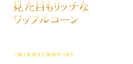 見た目もリッチなワッフルコーン ソフトクリームと同じ原料のベルギーチョコを配合したこだわりのワッフルコーン。ソフトクリームとの相性もバツグンです。さらに、「塩」を加えて後味すっきり。最後までおいしくお召し上がりいただけます。