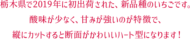 栃木県で2019年に初出荷された、新品種のいちごです。酸味が少なく、甘みが強いのが特徴で、縦にカットすると断面がかわいいハート型になります！