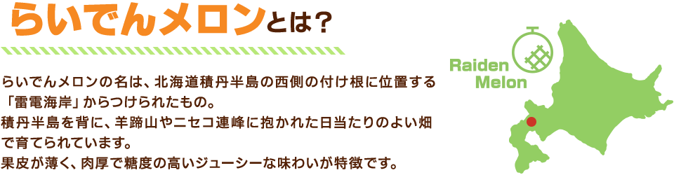 らいでんメロンソフトとは？らいでんメロンの名は、北海道積丹半島の西側の付け根に位置する「雷電半島」からつけられたもの。積丹半島を背に、羊蹄山やニセコ連峰に抱かれた日当たりのよい畑で育てられています。果皮が薄く、肉厚で糖度の高いジューシーな味わいが特徴です。