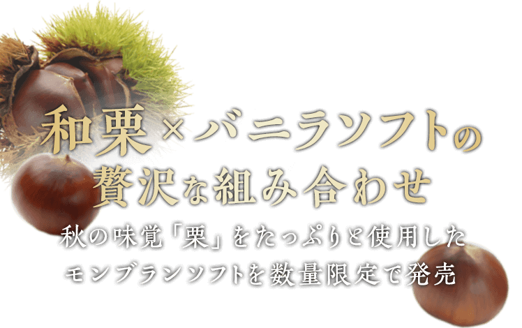 和栗×バニラソフトの贅沢な組み合わせ 秋の味覚「栗」をたっぷりと使用したモンブランソフトを数量限定で発売