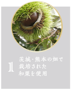 1茨城・熊本の畑で栽培された和栗を使用