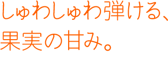 しゅわしゅわ弾ける、果実の甘み